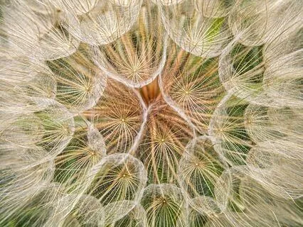 Pep Talk For All Time