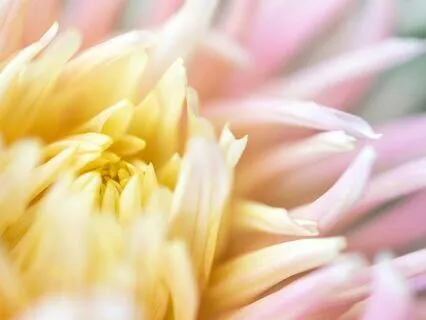 Pep Talk For Body Image