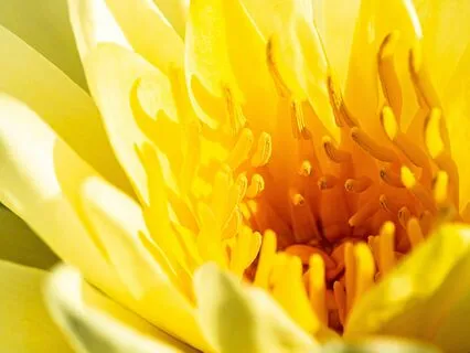 Pep Talk For Gratitude