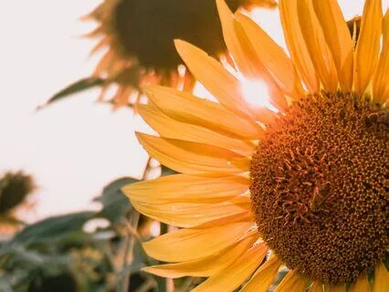 Pep Talk For Self-Assurance