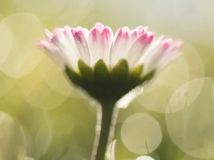 Pep Talk Meditation With I Am Affirmations