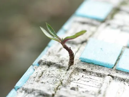 Pep Talk: What If It All Works Out?