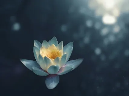 Pequena Meditação para Autoestima