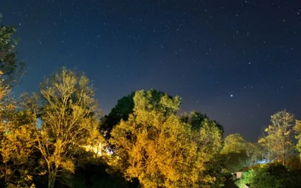 Perceive A Deep Tranquil Sleep With 532Hz