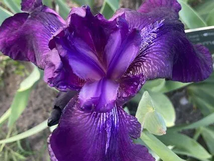 Perceiving That Which Cannot Be Perceived With The Senses