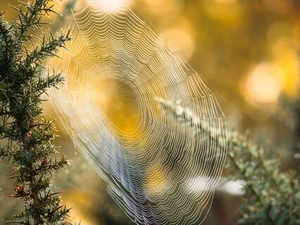 Perceiving Your Aura Meditation