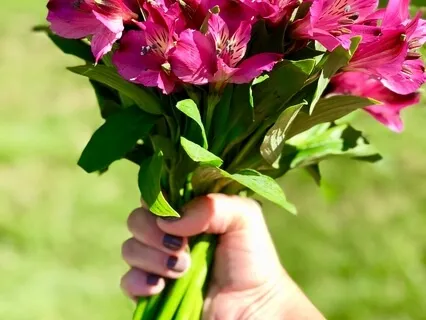 Perception Of Duality Causes Suffering Removed By Meditation