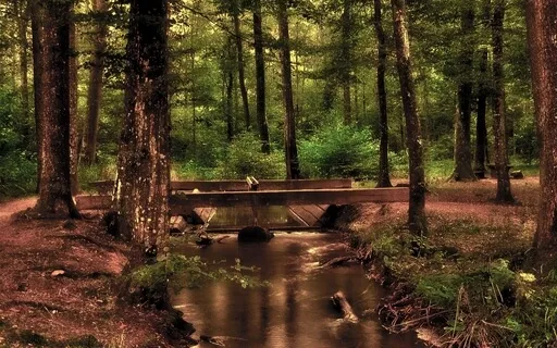 Perdoar a Si Mesmo (MBCL)