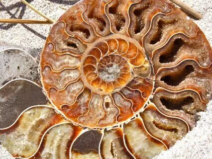 Perfect 5th Crystal Singing Bowls (Short)