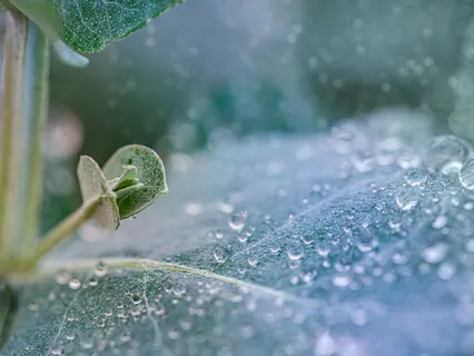 Perfect Breath Meditation