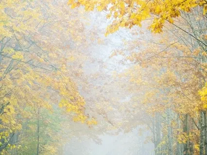 Perfect Chakra Balancing Meditation