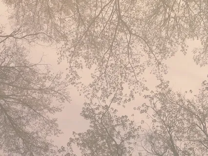 Perfect Daily Meditation