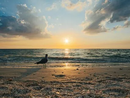 Perfect Day Affirmations With LunaLight