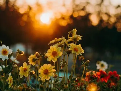 Perfect Day Meditation