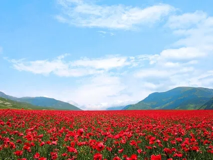 Perfect Day Meditation