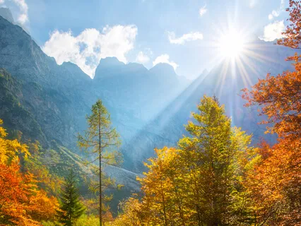 Perfect Morning Reiki Meditation