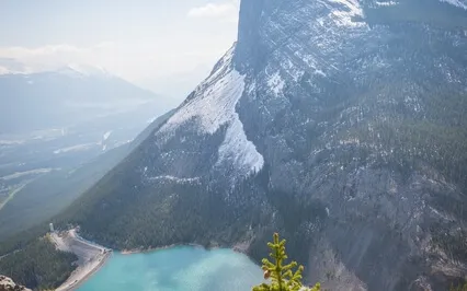 Perfect Nurturer Reinforcement With Somatic Emphasis