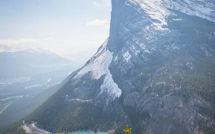 Perfect Nurturer Reinforcement