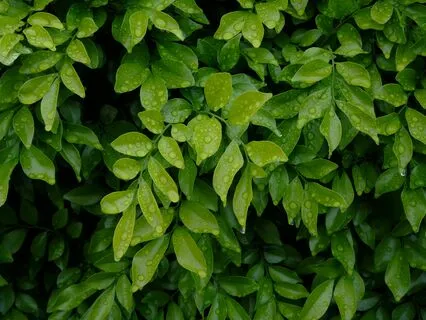 Perfect Rain: Thunder & Relaxing Piano Sound Therapy