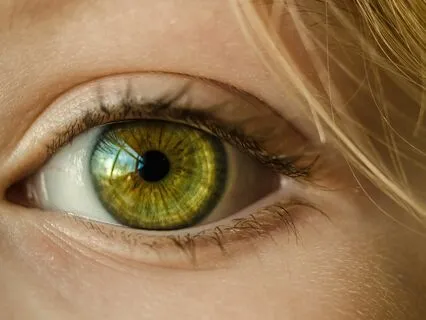 Perfect Storm: One Women's Illness To Awakening Journey