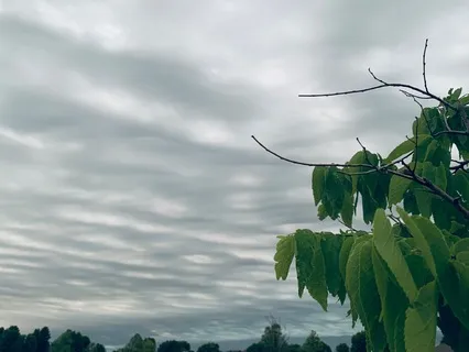 Perfect Timing Is A Mindset & A Feeling