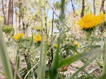 Perfectionism: A Sacred Space For Imperfection