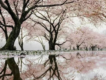 Perfectionism: An Energy Scan For Self-Acceptance