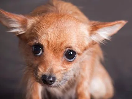 Perfectionism Is Fear