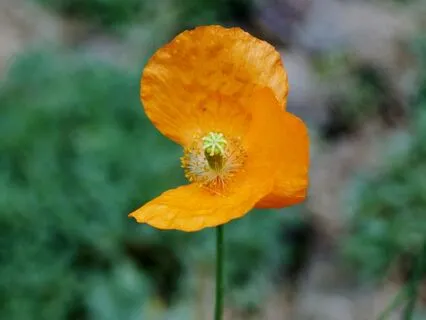 Perfectionism: Mantras For Living As You Are