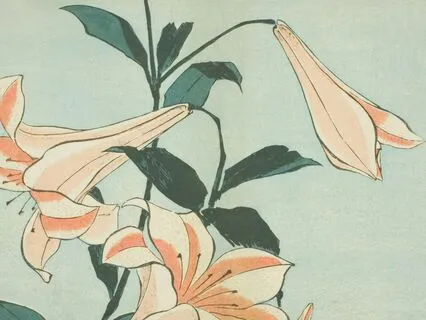 Perfectly Imperfect: A Natural Self-Acceptance Practice