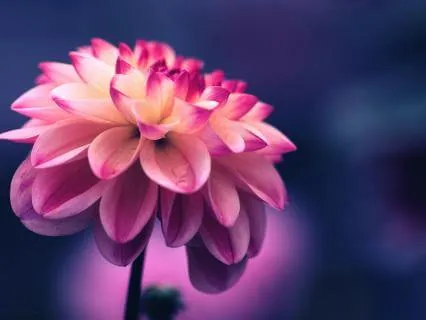 Perimenopause Affirmation Meditation