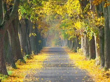 Perimenopause Meditation: Embrace Your Transformation