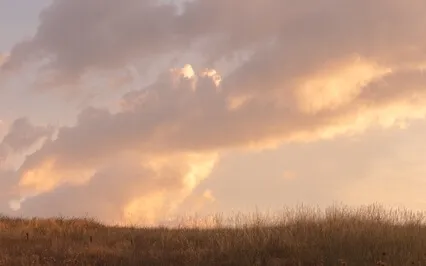 Permission For Self-Care After Miscarriage