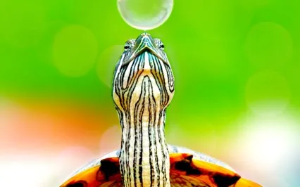 Permission To Be Human: Meet Myself Where I Am