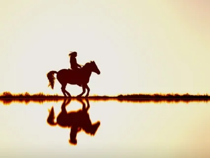 Permission To Be Human: Prioritize Well-Being Through Values