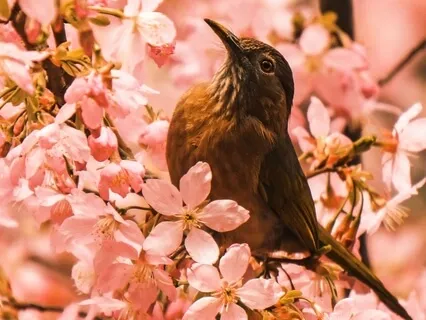 Permission To Be You