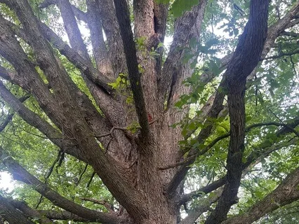 Permission To Breathe