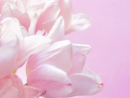 Permission To Exist Authentically