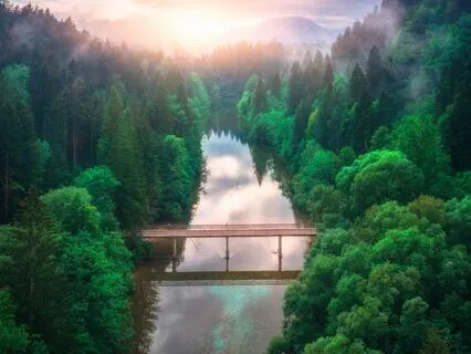 Permission To Feel And Stay Calm