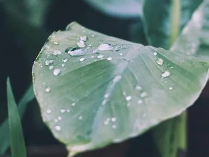 Permission To Grieve - A Safe Space To Feel It All