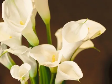 Permission To Grieve