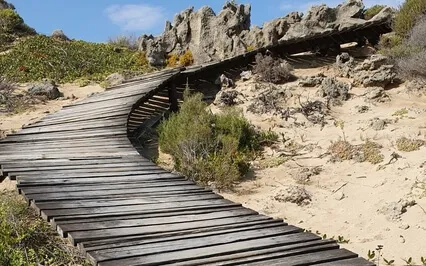 Permission To Grow And Be Magnificent - Tone Therapy