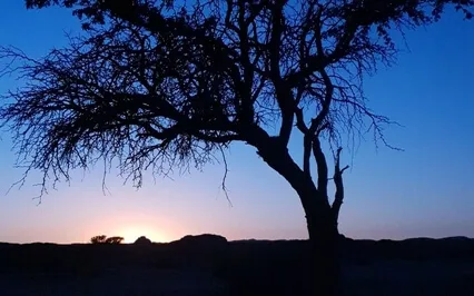 Permission To Grow - Comes From Letting Go