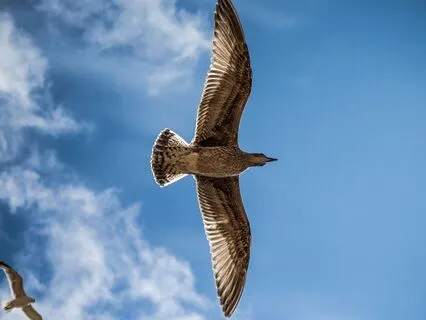 Permission To Just Be (Enough)