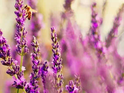 Permission To Not Know