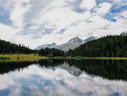 Permission To Pause: Support For Emotional Numbness