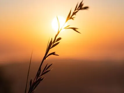 Permission To Rest: A Short Practice For Inner Calm