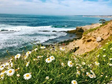 Permission To Rest, Exploring The Rhythms Of Life