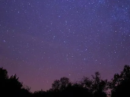 Permission To Rest & Sleep — Nervous System Healing