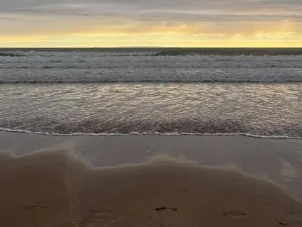 Permission To Rest: You Are Allowed! (Voice Only)
